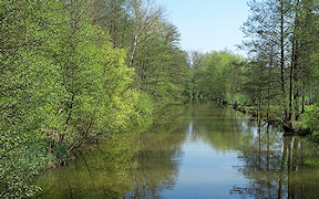 Wallpaper Gorroschoa S�dumfluter Leineweberflie� Spreewald