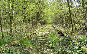 Wallpaper Aggertalbahn Trasse Luhmer Grietche