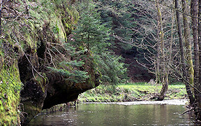 Wallpaper Kimitzschtal S�chsische Schweiz