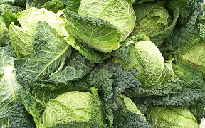 Wallpaper Kohl caggabe